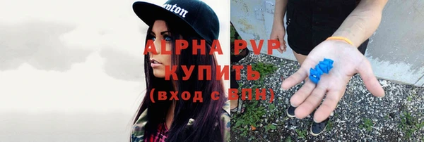 прущие грибы Навашино