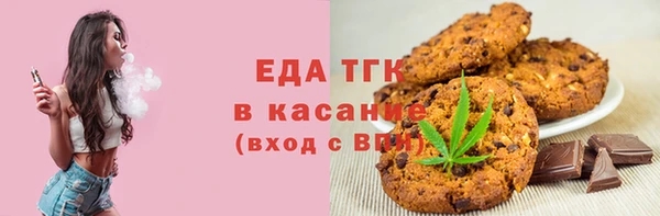 индика Бронницы