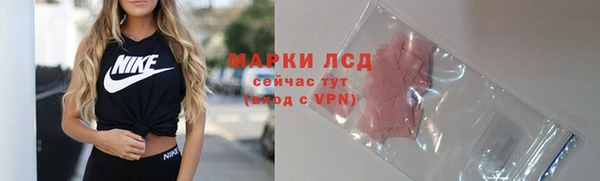 индика Бронницы