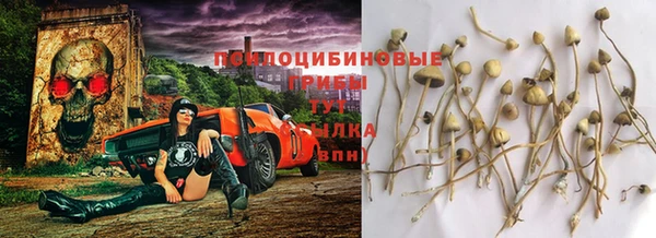 эйфоретик Михайлов