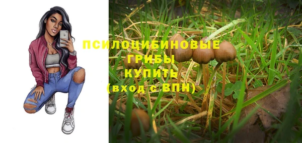эйфоретик Михайлов