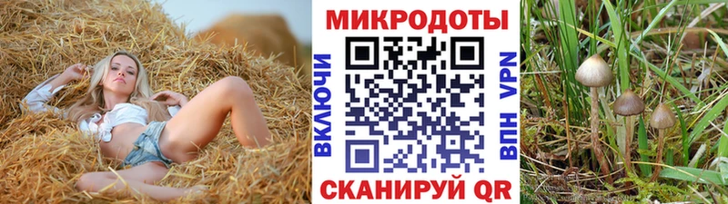 MEGA маркетплейс  Ржев  Галлюциногенные грибы Psilocybine cubensis  где можно купить наркотик 