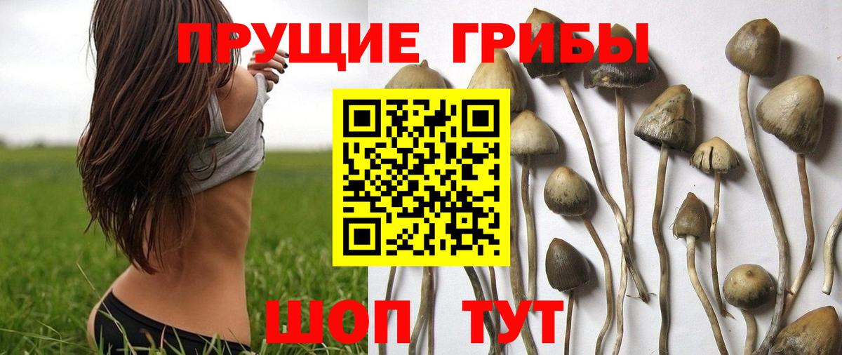 Галлюциногенные грибы Magic Shrooms Ржев